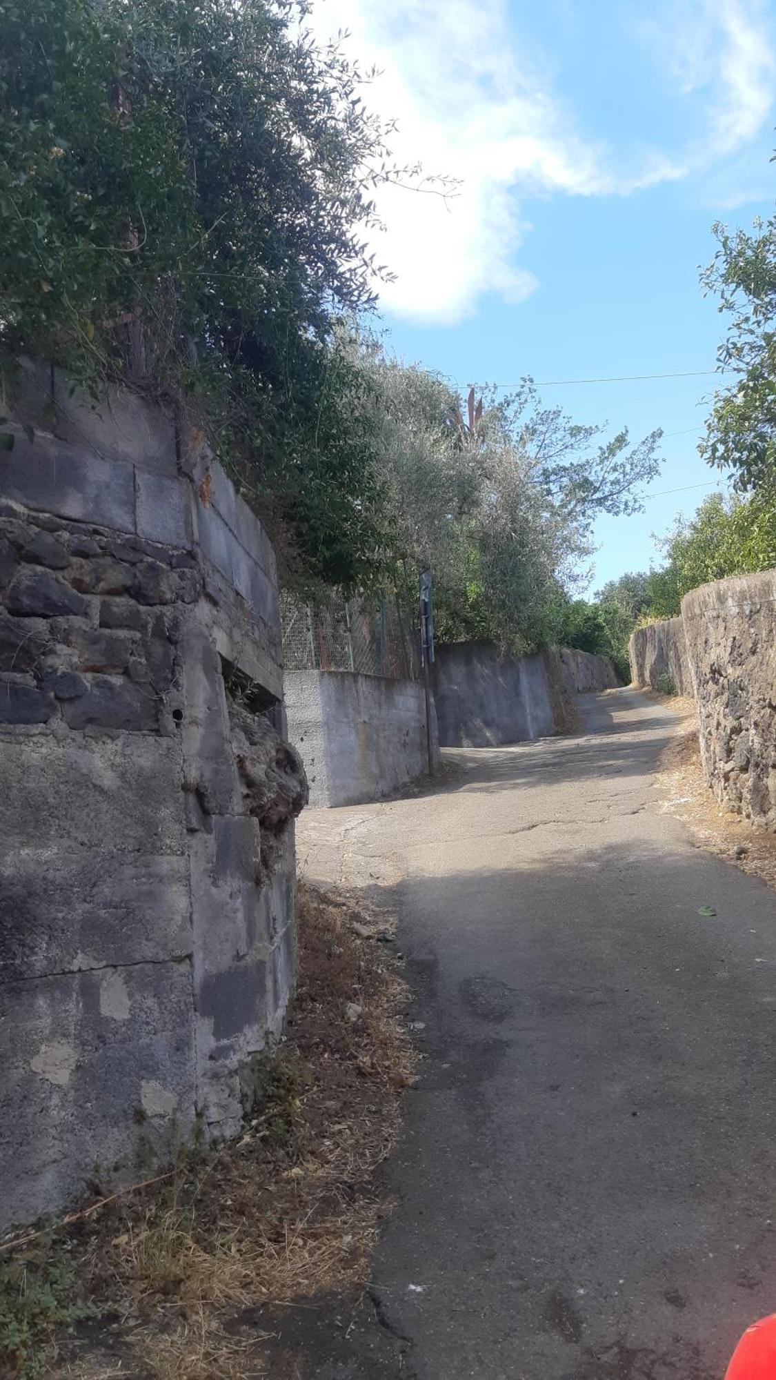 Casa Delle Palme Sicilia A 3 Km Dal Mare